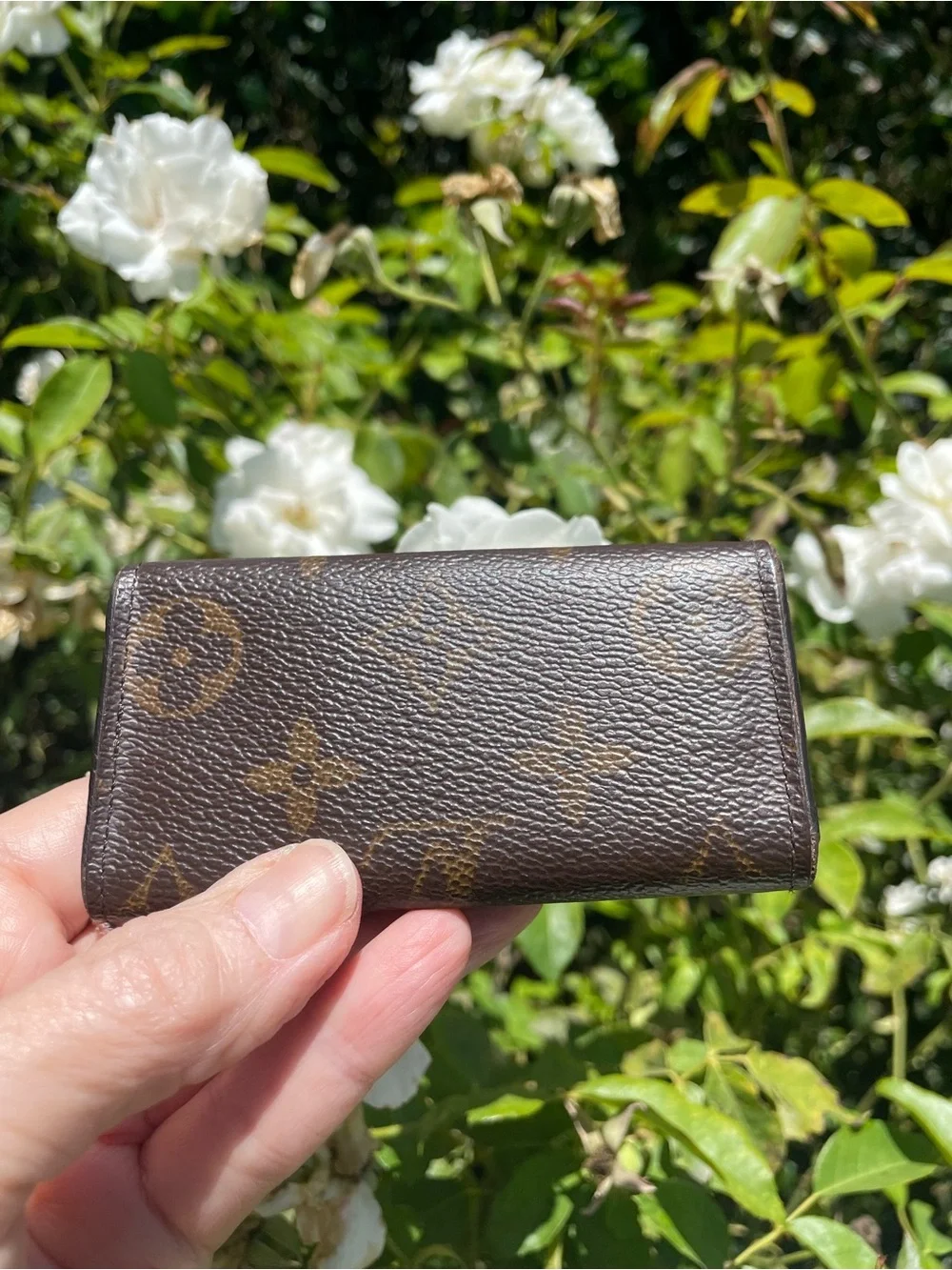 Louis Vuitton classic louis